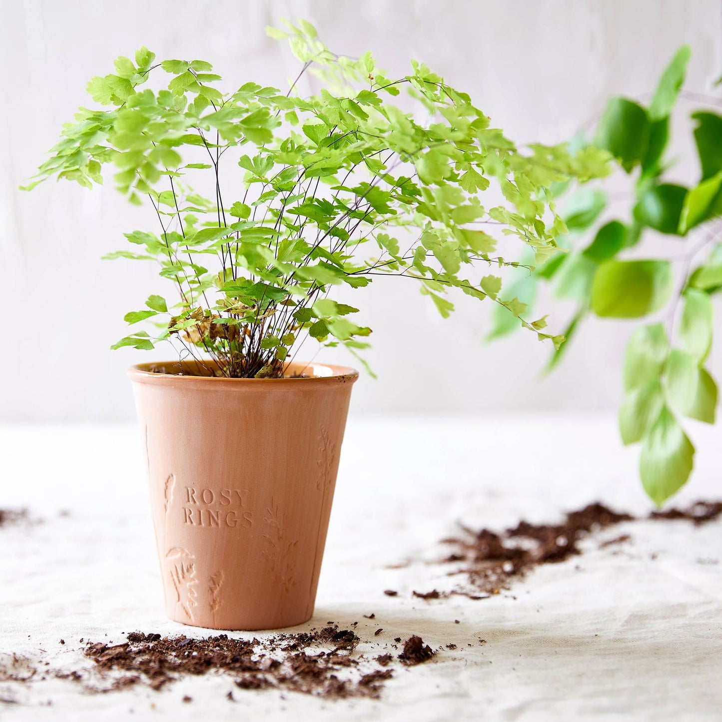 Peony + Pomelo Garden Pot Candle